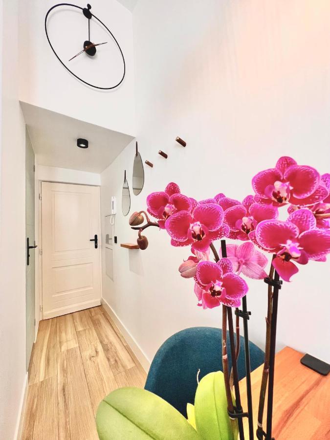 Duplex Le Gesu - Heart Of Old Town - Modern - Wifi - Clim Apartment Nice Ngoại thất bức ảnh